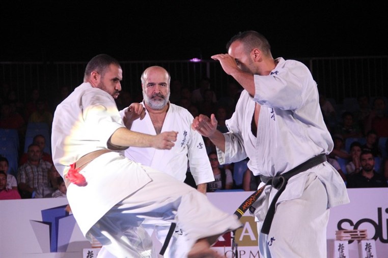 Martial Arts Festival